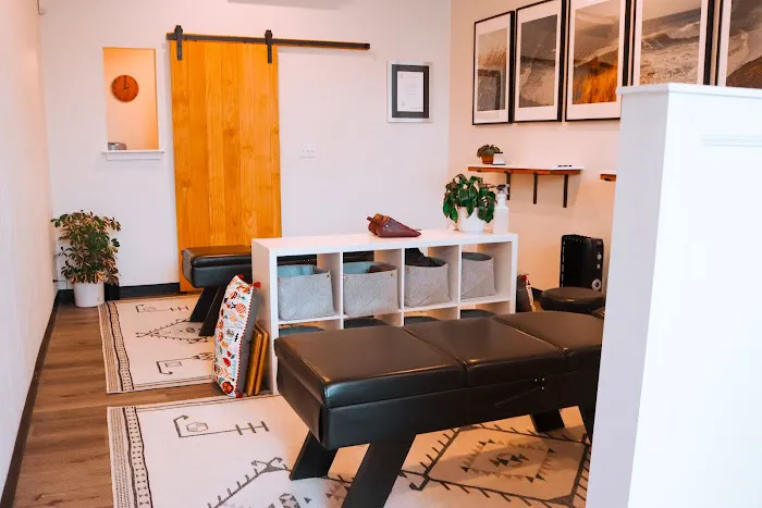 Nikau Chiropractic Picture 8