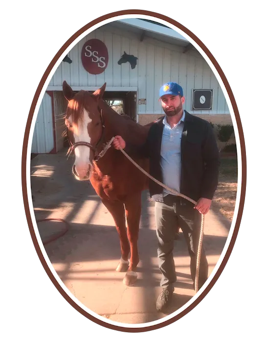 Moore Equine Chiropractic Picture 1