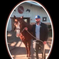 Moore Equine Chiropractic ico