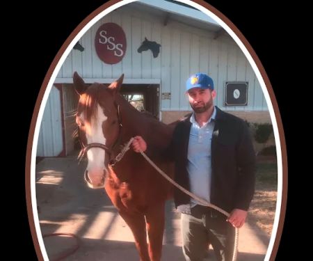 Moore Equine Chiropractic