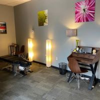 SHINE Chiropractic ico