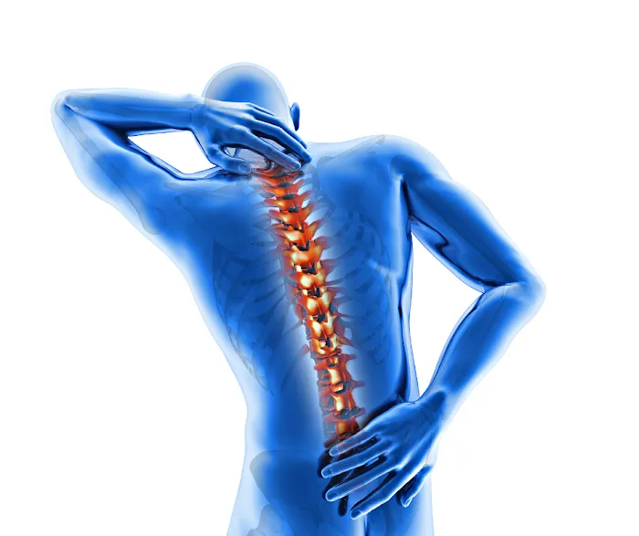 Chiropractic Solutions Of Denver Picture 7
