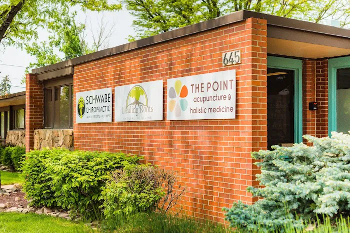 Schwabe Chiropractic Picture 6