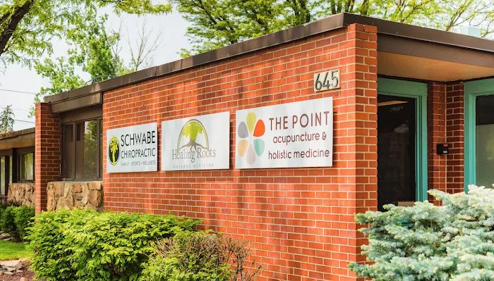 Schwabe Chiropractic Picture 8