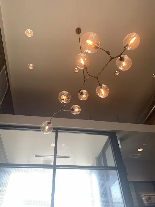 Natural Balance Picture 3