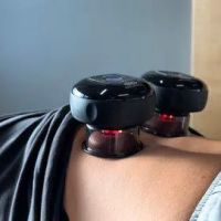 Buffalo Spine & Sport Chiropractic ico