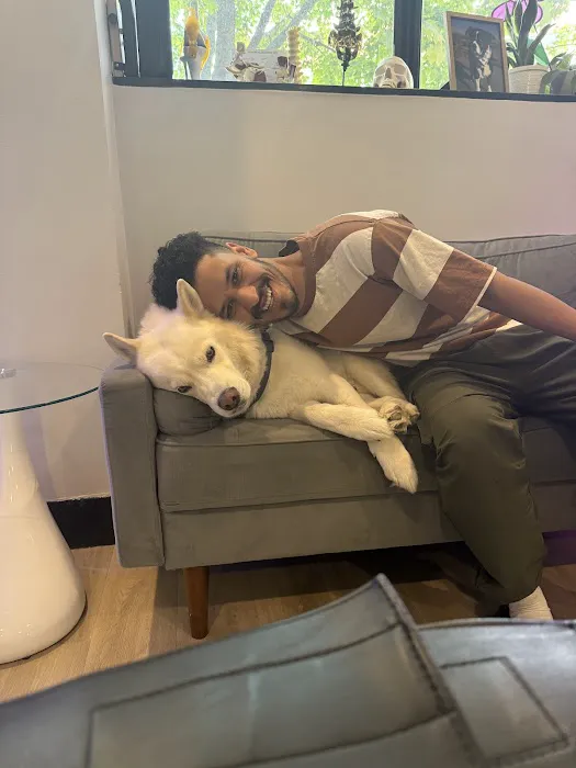 Buffalo Spine & Sport Chiropractic Picture 9