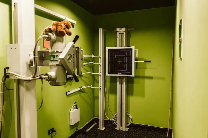 VIDA Chiropractic Studio Picture 9