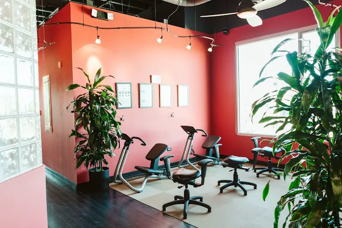 VIDA Chiropractic Studio Picture 4