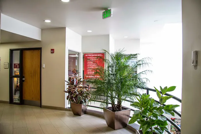 Renew Chiropractic Picture 4
