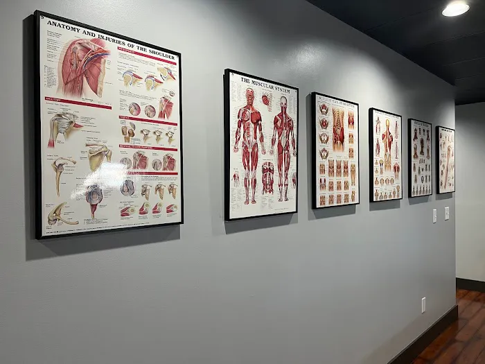 Comprehensive Chiropractic Picture 3