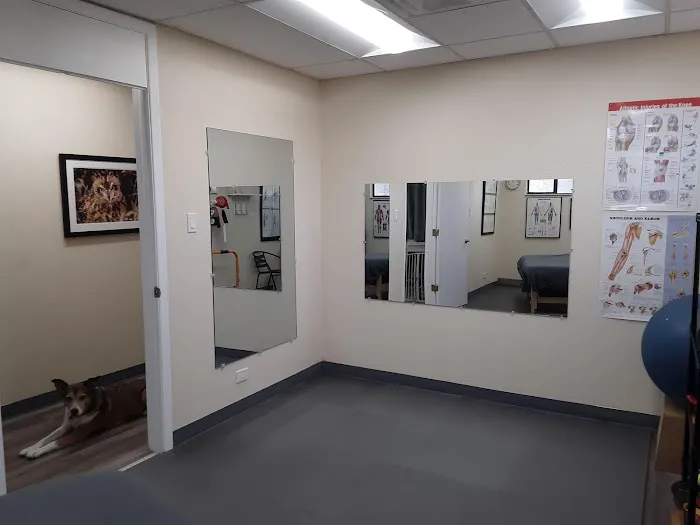 Gaul Family Chiropractic Denver Picture 5