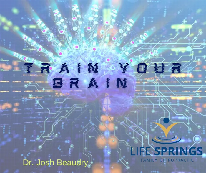 Life Springs Family Chiropractic Picture 7