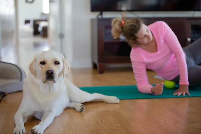 Back Nine Mobile Chiropractic Picture 7