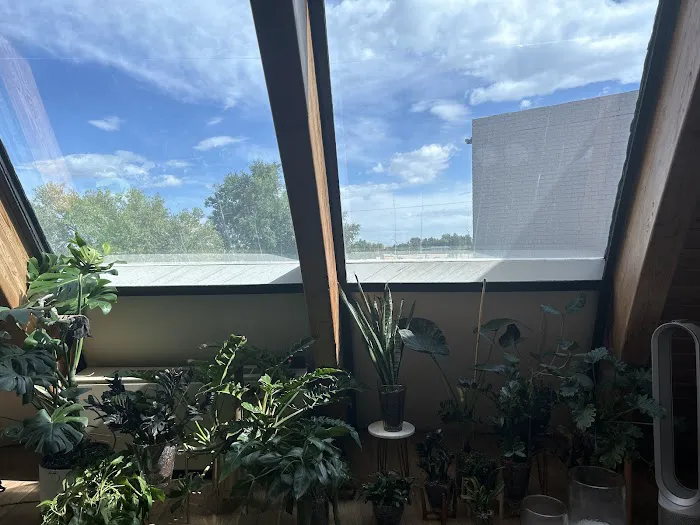 Soul Service Chiropractic Picture 5