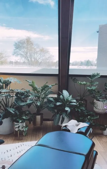 Soul Service Chiropractic Picture 3