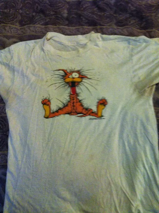 Success Chiropractic Picture 4