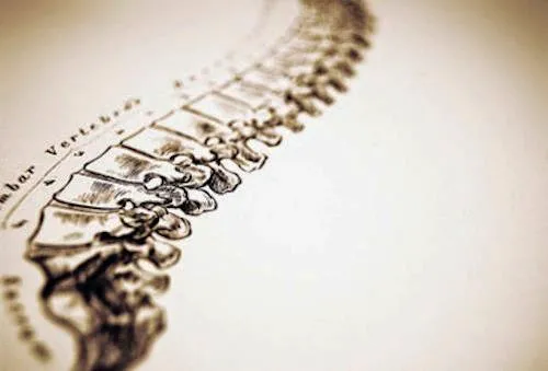 Elevate Sport & Spine Therapy Picture 3