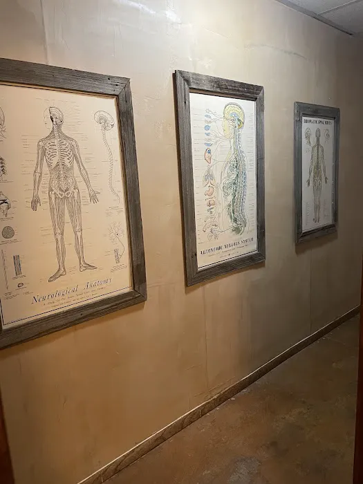 Dr. Jen Hartley - Chiropractor Picture 3