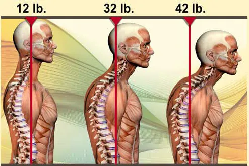 Active Health Chiropractic PLLC Picture 9