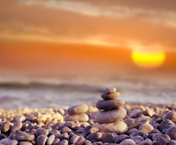Complete Wellness Chiropractic P.C. Picture 8