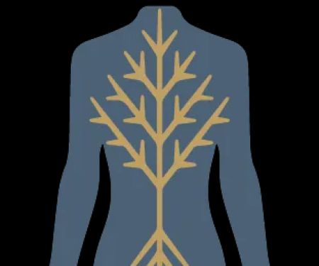 Healing Ground Chiropractic Care