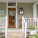 Back Country Animal and Human Chiropractic