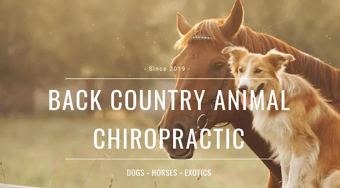 Back Country Animal and Human Chiropractic Picture 10