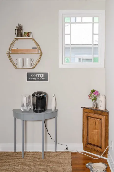 Back Country Animal and Human Chiropractic Picture 6