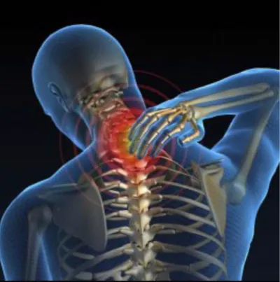 Bovadilla Chiropractic & Acupuncture Picture 8