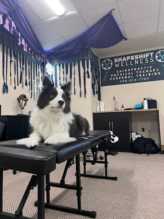 Shapeshift Wellness Picture 2