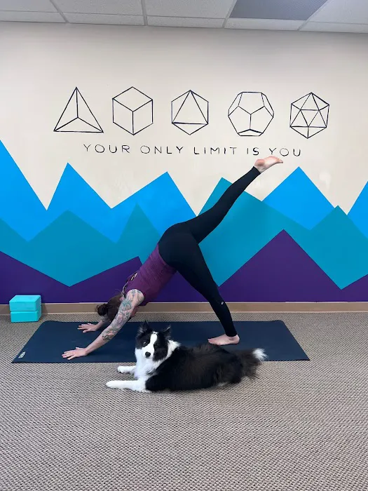 Shapeshift Wellness Picture 6