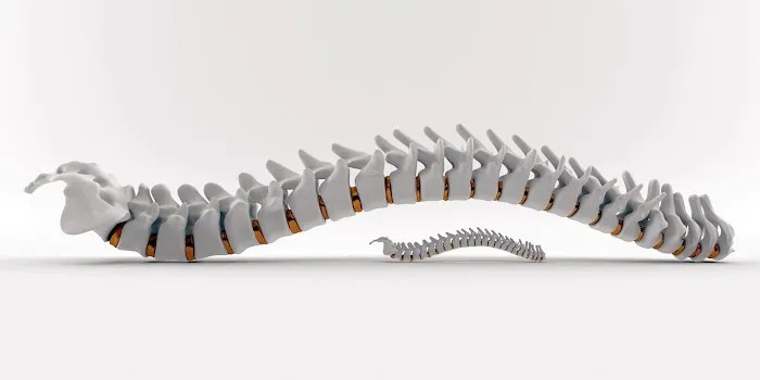 Back Country Chiropractic Picture 4