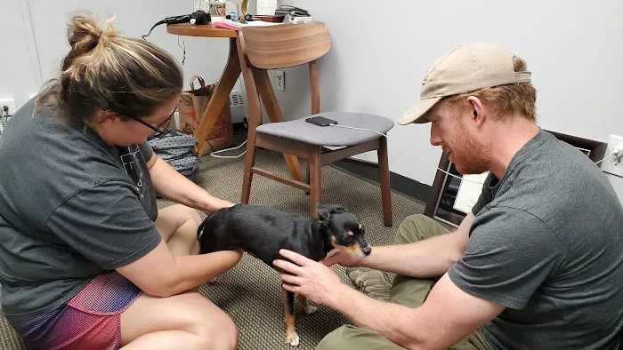 Denver Central Chiropractic - Dog Chiropractor in Denver Picture 3