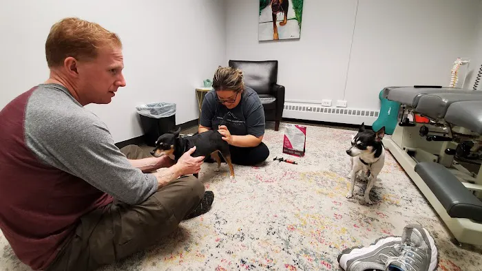 Denver Central Chiropractic - Dog Chiropractor in Denver Picture 2