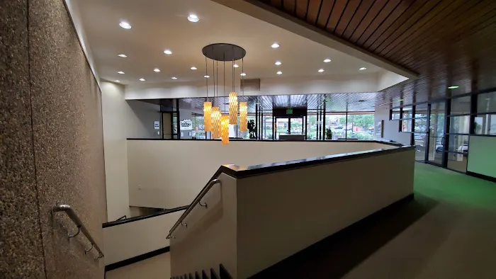 Denver Central Chiropractic - Dog Chiropractor in Denver Picture 1