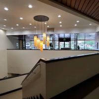 Denver Central Chiropractic - Dog Chiropractor in Denver ico