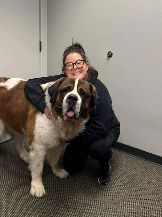 Denver Central Chiropractic - Dog Chiropractor in Denver Picture 8