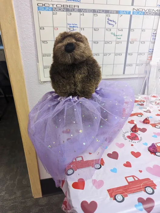 New Dawn Chiropractic & Acupuncture Picture 2