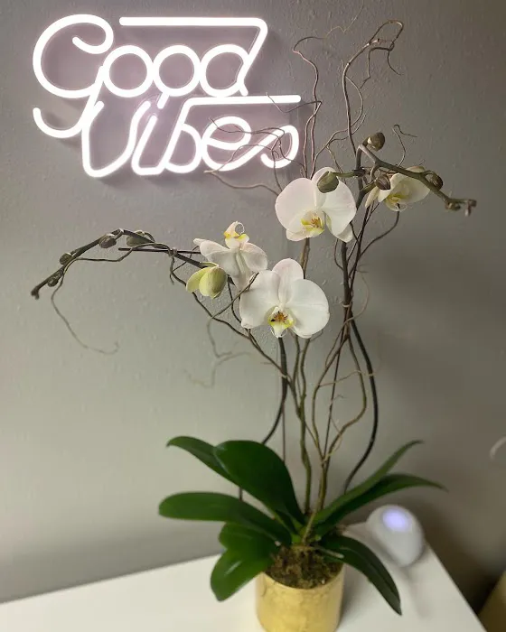 TEMPL Health Picture 5