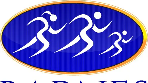 Barnes Chiropractic Picture 2