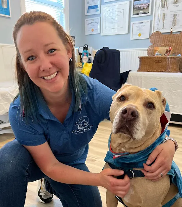 Elevate Health Chiropractic: Human & Animal Chiropractic Picture 7