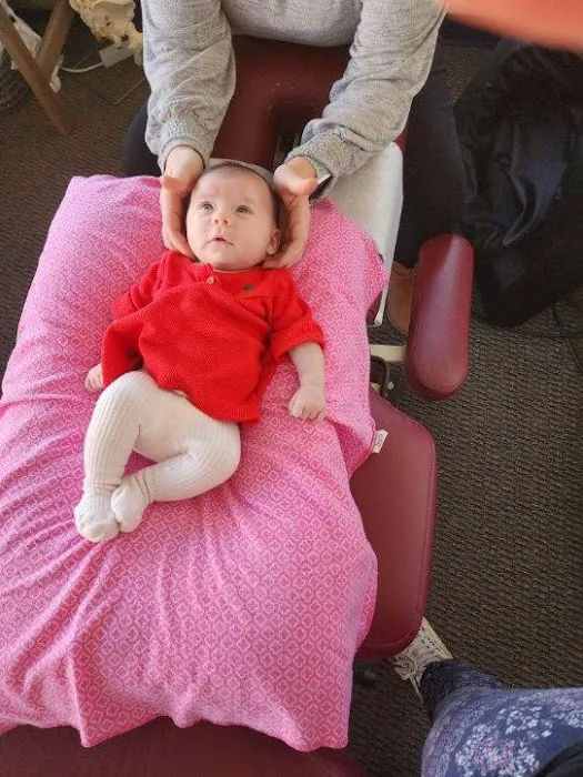 Zandi Chiropractic Picture 3