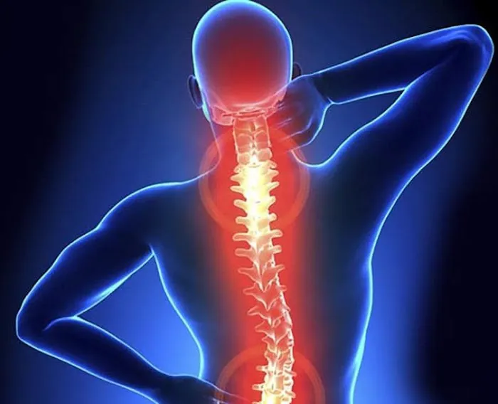 Reinholtz Family Chiropractic, P.C. Picture 2