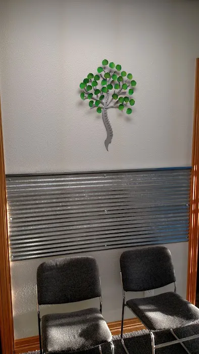 Revolution Chiropractic, Inc Picture 7