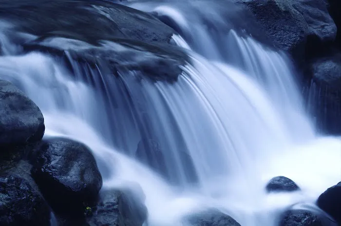 Natural Family Health Care Picture 4