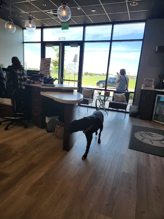 100% Chiropractic - Westminster Picture 5