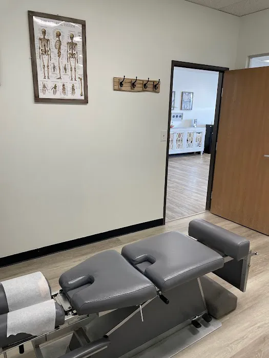 In Motion Family Chiropractic Picture 2