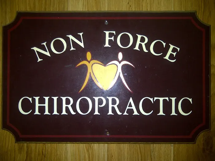 Non-Force Chiropractic Picture 8
