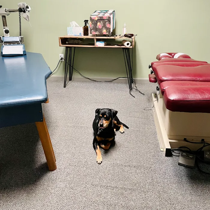 Performance Chiropractic Picture 10